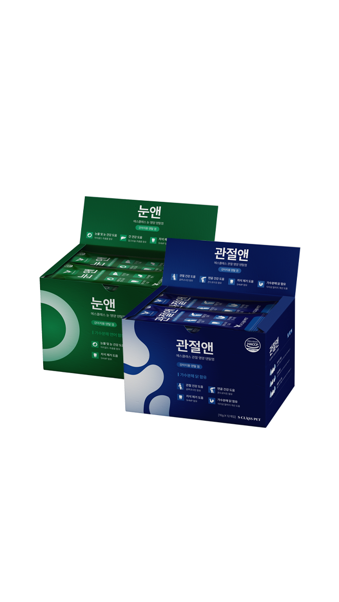 에스클래스 덴탈껌 강아지 간식 관절앤