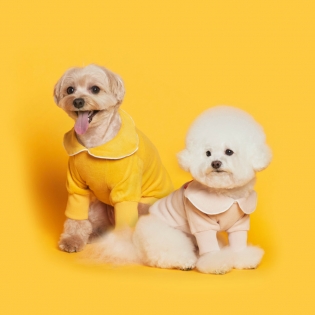 플로트 데이지 테리파자마 2컬러 강아지옷