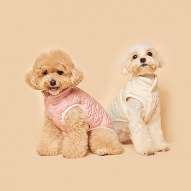 [몽구 pick✨] 플로트 캔디패딩조끼 강아지옷 2컬러