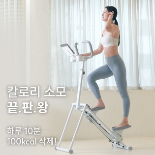 핏에이블 가정용 천국의 계단 스텝메이트
