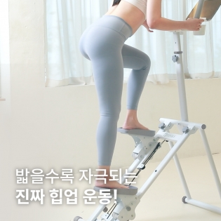 핏에이블 가정용 천국의 계단 스텝메이트