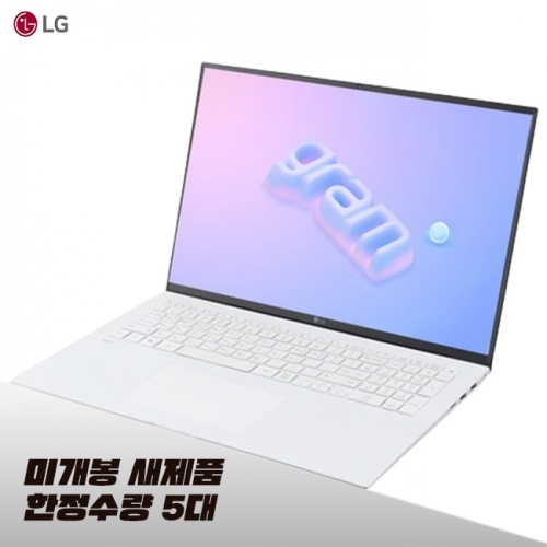 LG 그램17 i5 13TH RAM 16GB Iris Xe 17인치 가벼운 노트북