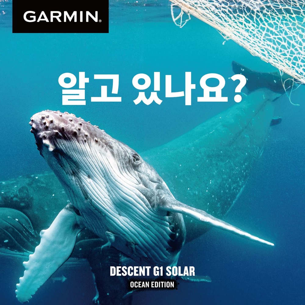 G1-Ocean_WHY_FISH_NET_KR-1_121716.jpg