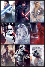스타 워즈 / Star Wars The Last Jedi (Characters)