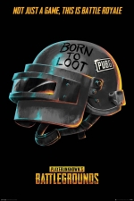 PUBG Born To Loot