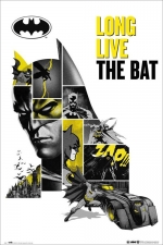 배트맨: 80주년 / DC COMICS 80 ANIVERSARIO BATMAN