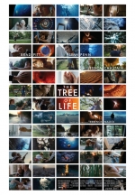 트리 오브 라이프 / The Tree Of Life [Regular]