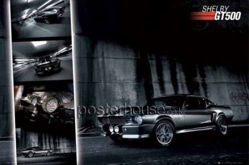 포드: 쉘비 머스탱 / Ford: Shelby Mustang GT500