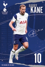 토트넘: 해리 케인 / Tottenham Hotspur FC (Kane)