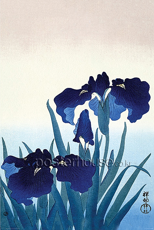 Ohara Koson (Iris Flowers)