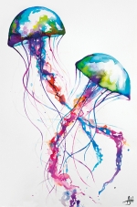 Marc Allante (Jellyfish)