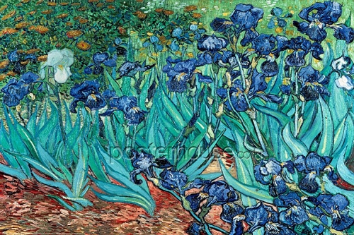 반 고흐 / Van Gogh (Les Irises)