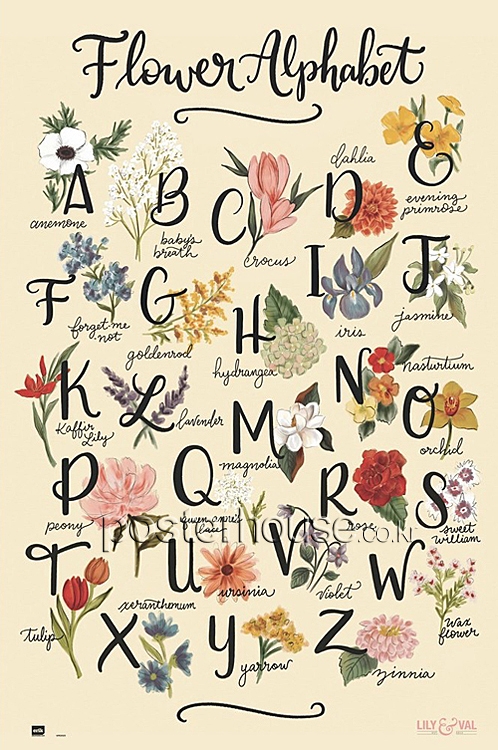 Lily & Val Flowers Alphabet