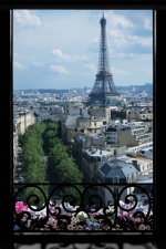 Paris: Window Eiffel View