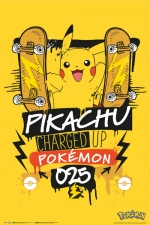 포켓몬스터: 피카츄 / Pokemon Pikachu charged up 025