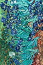 반 고흐 / Van Gogh (Les Irises)