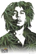 밥 말리 / BOB MARLEY leaves