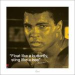무하마드 알리 / Muhammad Ali: I.Quote - Sting Like A Bee