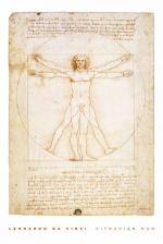 레오나르도 다빈치 / Leonardo Davinci's Vitruvian Man