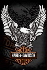 할리데이비슨 로고 / Harley Davidson: Eagle