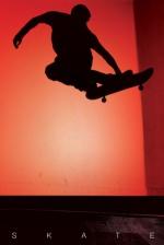 Skate: Silhouette