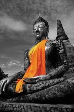 Buddha: Orange