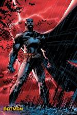 배트맨 / BATMAN comic red rain