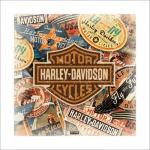 할리데이비슨 / Harley Davidson: Travel