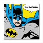배트맨 / Batman: I'm Batman [Art]
