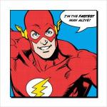 플래시 / Flash: Fastest Man Alive