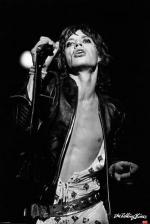 롤링스톤즈 / Rolling Stones: Jagger Icon