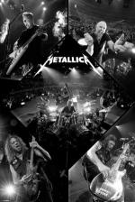 메탈리카 / METALLICA live 2013