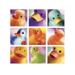 Ian Winstanley: Duck Family Portraits