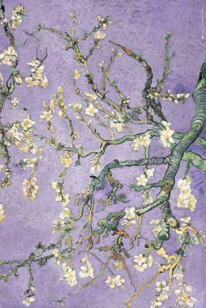 반 고흐 / Van Gogh: Purple Blossom