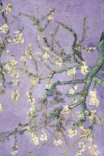 반 고흐 / Van Gogh: Purple Blossom