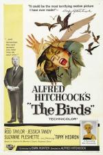 새 / Alfred Hitchcock's The Birds, The Birds