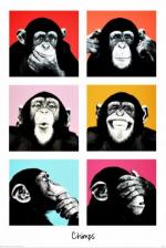 The Chimps: Pop Art