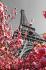 PARIS: Spring Eiffel