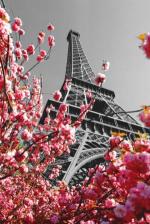 PARIS: Spring Eiffel