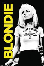블론디 / Blondie: Camp Funtime