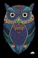 Mulga: Michael the Magical Owl