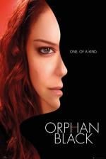 오펀 블랙 / Orphan Black Season 2 Sarah