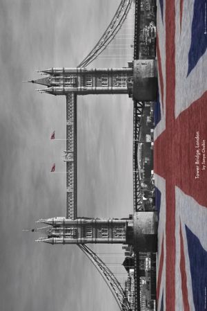 Tanya Chalkin: Tower Bridge