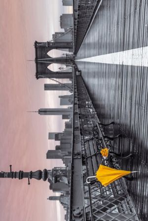 Assaf Frank: Brooklyn Bridge Umbrella