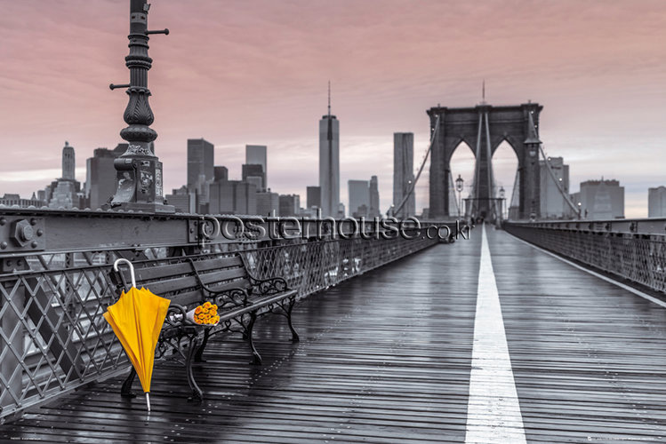 Assaf Frank: Brooklyn Bridge Umbrella