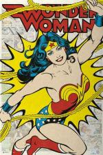 원더우먼 / DC COMIC WONDER WOMAN RETRO