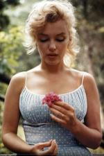 마릴린 먼로 / Marilyn Monroe Flower