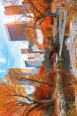New York: Central Park Autumn