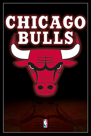 시카고 불스 / Chicago Bulls Logo
