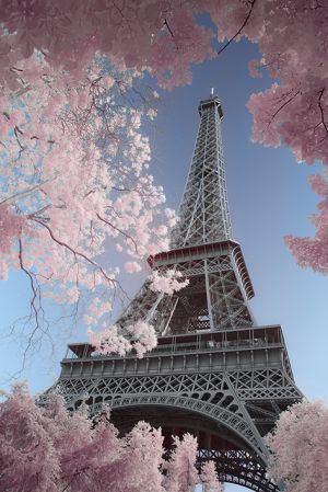David Clapp: Eiffel Tower Infrared, Paris